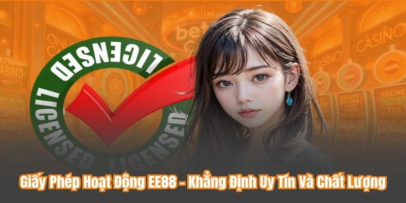 Tổng quan về giấy phép hoạt động EE88